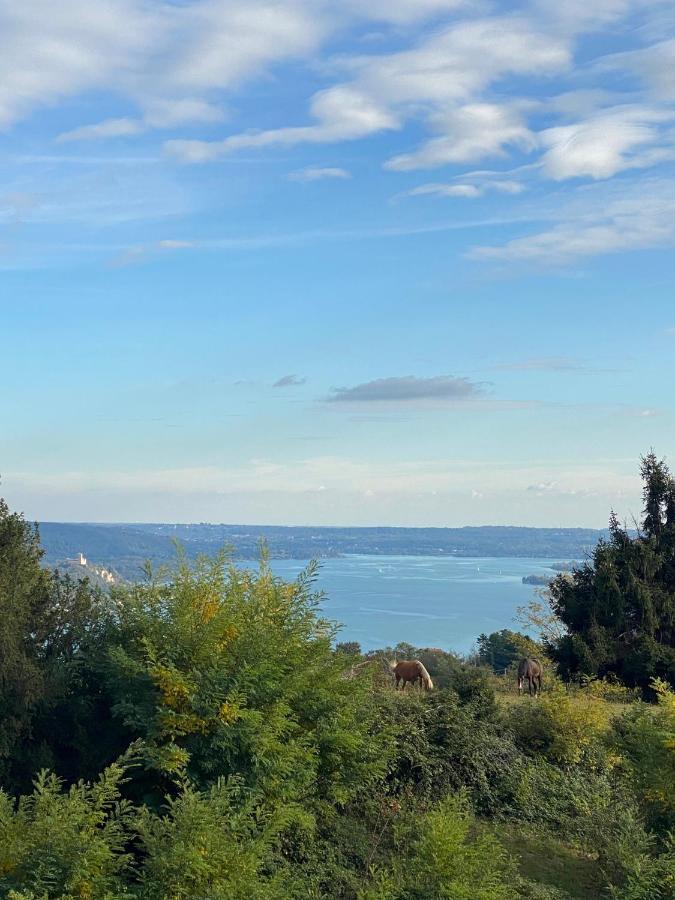 La Garconnierre Del Lago Maggiore Nebbiuno Luaran gambar